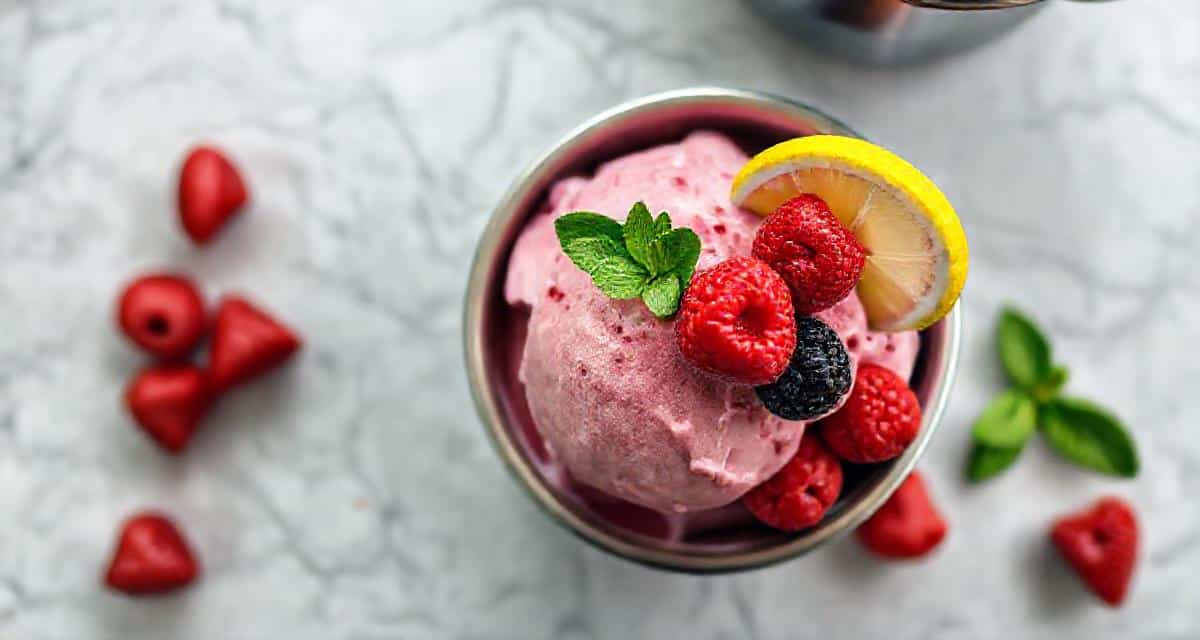 Quelle turbine à glace choisir selon votre production quotidienne : gros plan